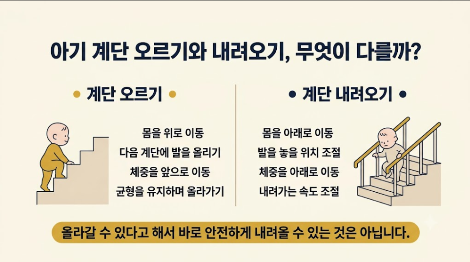 아기 계단 오르기와 내려오기의 차이를 몸의 이동과 균형 조절로 비교한 인포그래픽