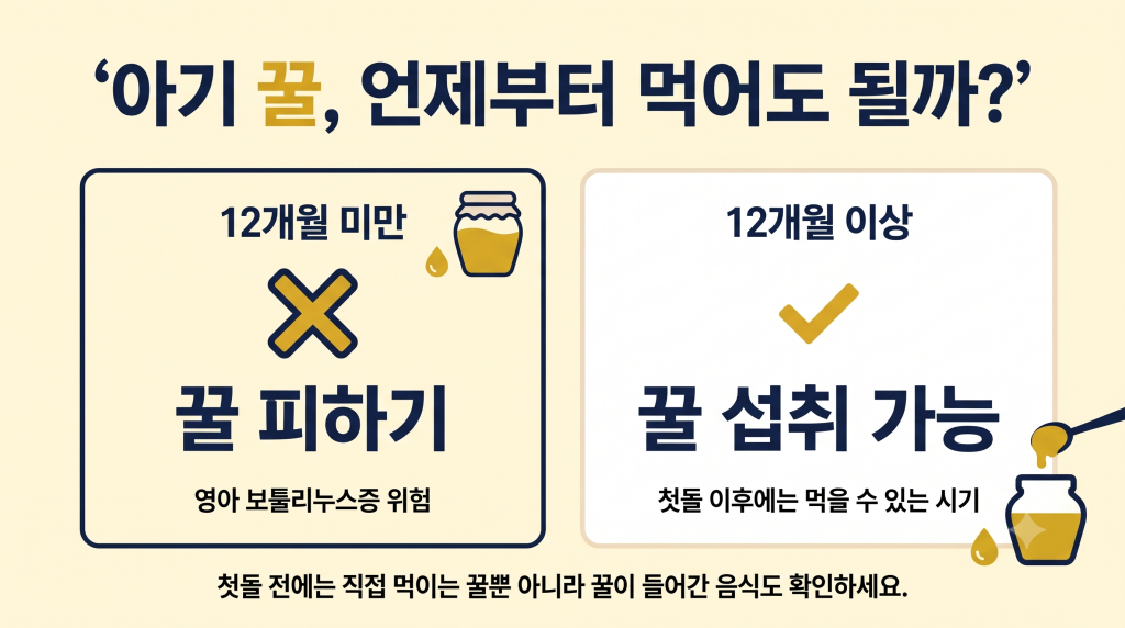 12개월 미만 아기는 꿀을 피하고 12개월 이후에는 꿀을 먹을 수 있다는 기준을 보여주는 인포그래픽