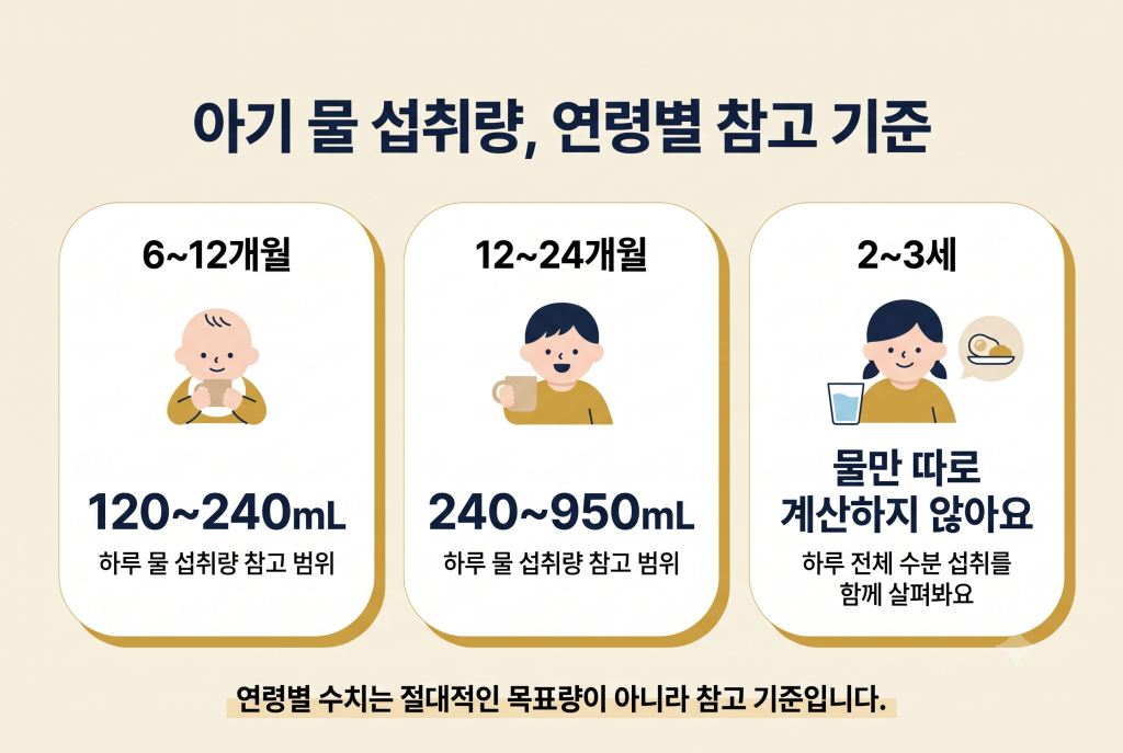 6개월부터 24개월까지 아기 물 섭취량 참고 기준을 연령별로 정리한 인포그래픽