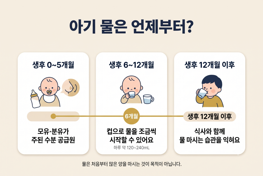 아기 물은 언제부터 시작할 수 있는지 생후 6개월 기준으로 정리한 인포그래픽