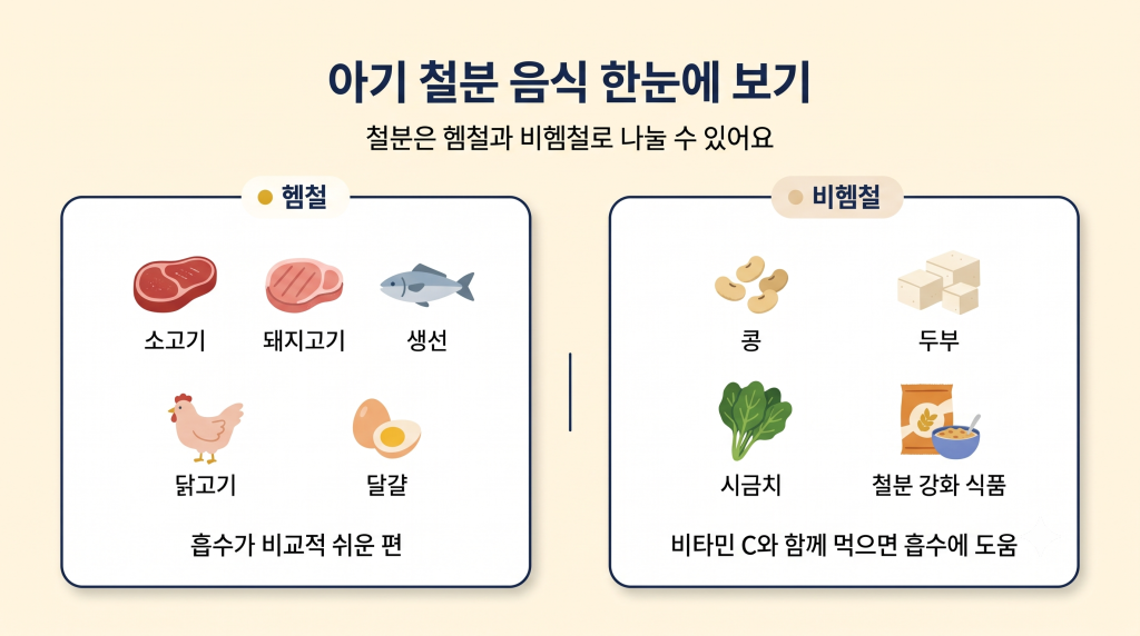 아기 철분 음식 한눈에 보기, 헴철과 비헴철 식품 비교